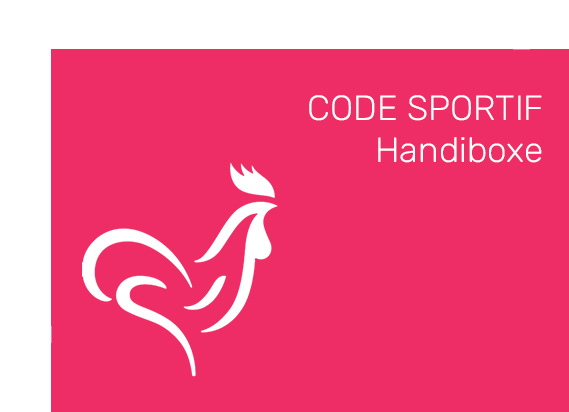 code sportif handiboxe