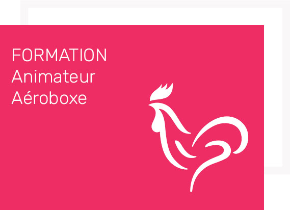 animateur aéroboxe formation FFB