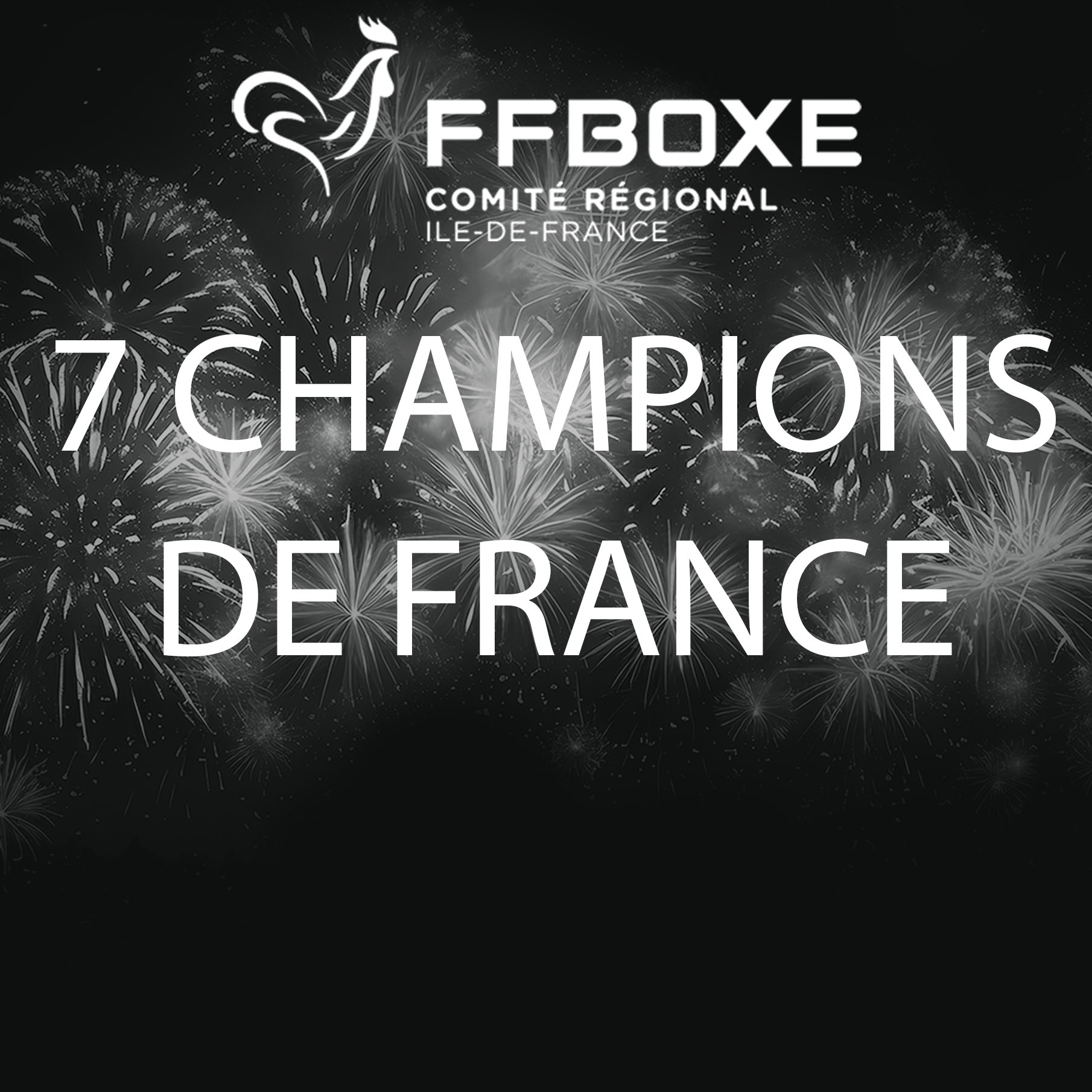 Boulazac finales élites boxe 2025